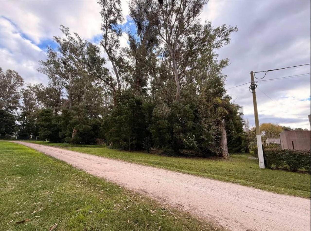 GRAN LOTE DE 1191M2 EN LA ARMONIA