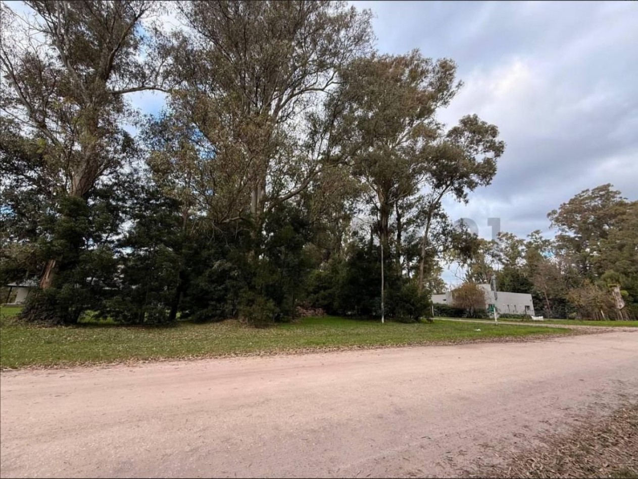 GRAN LOTE DE 1191M2 EN LA ARMONIA