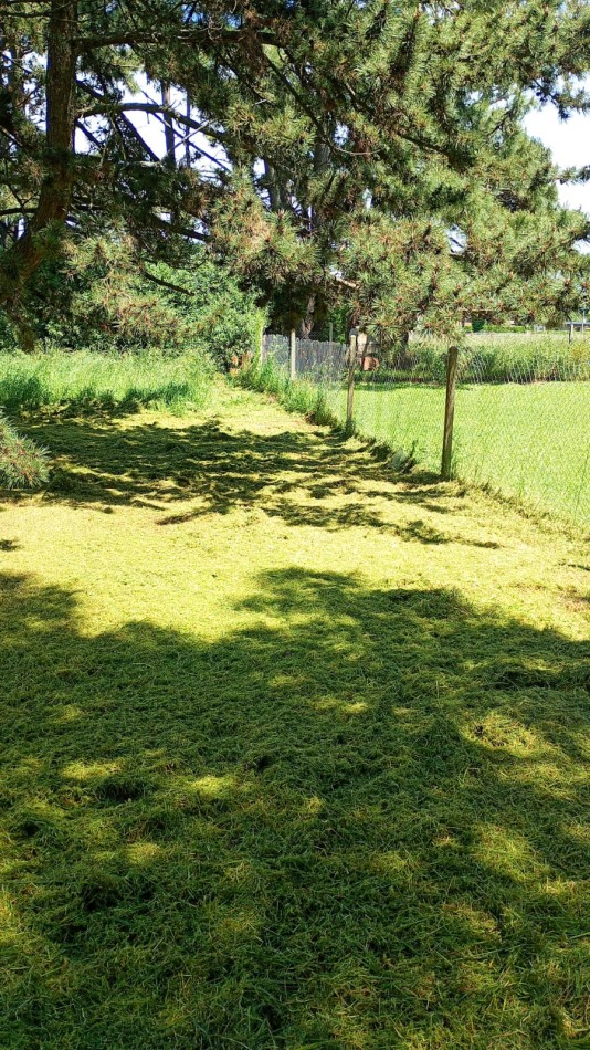 LOTE EN LA CALETA DE 421M2