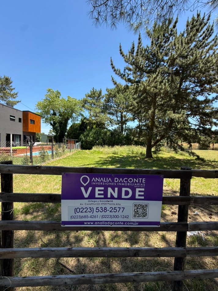 LOTE EN LA CALETA DE 421M2