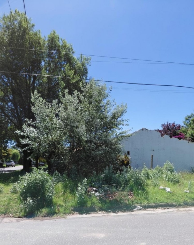 Gran lote en equina, a 200 metros de constitucion! inmejorable ubicacion!!