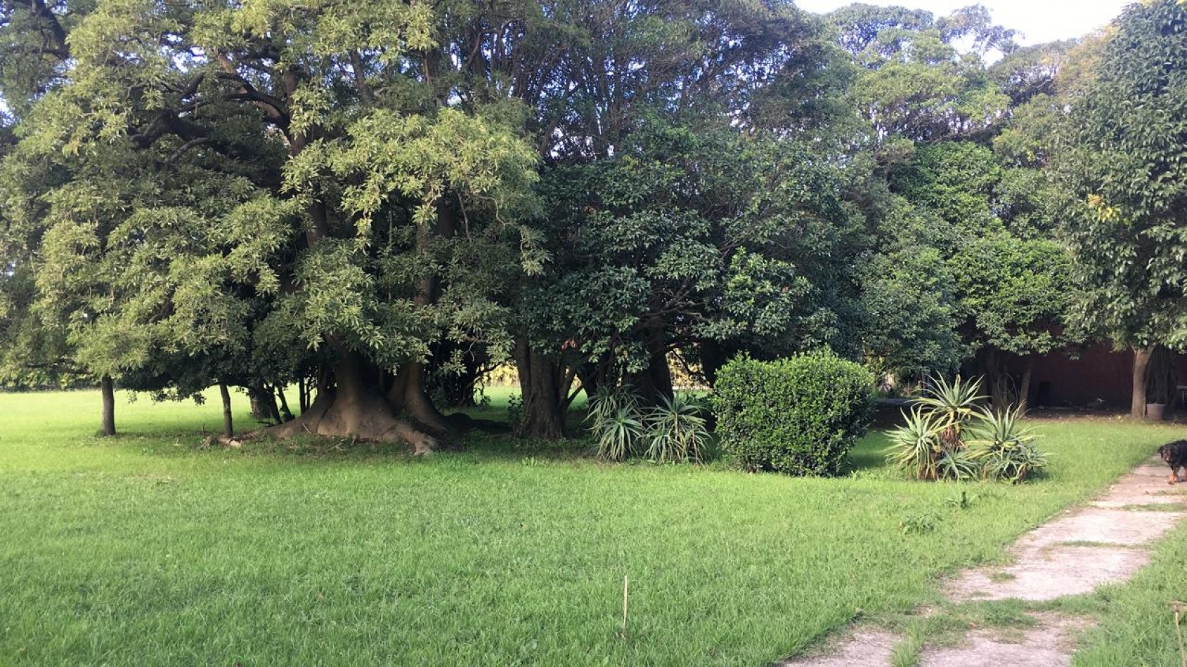 MANZANA COMPLETA CON LOCAL Y VIVIENDA!