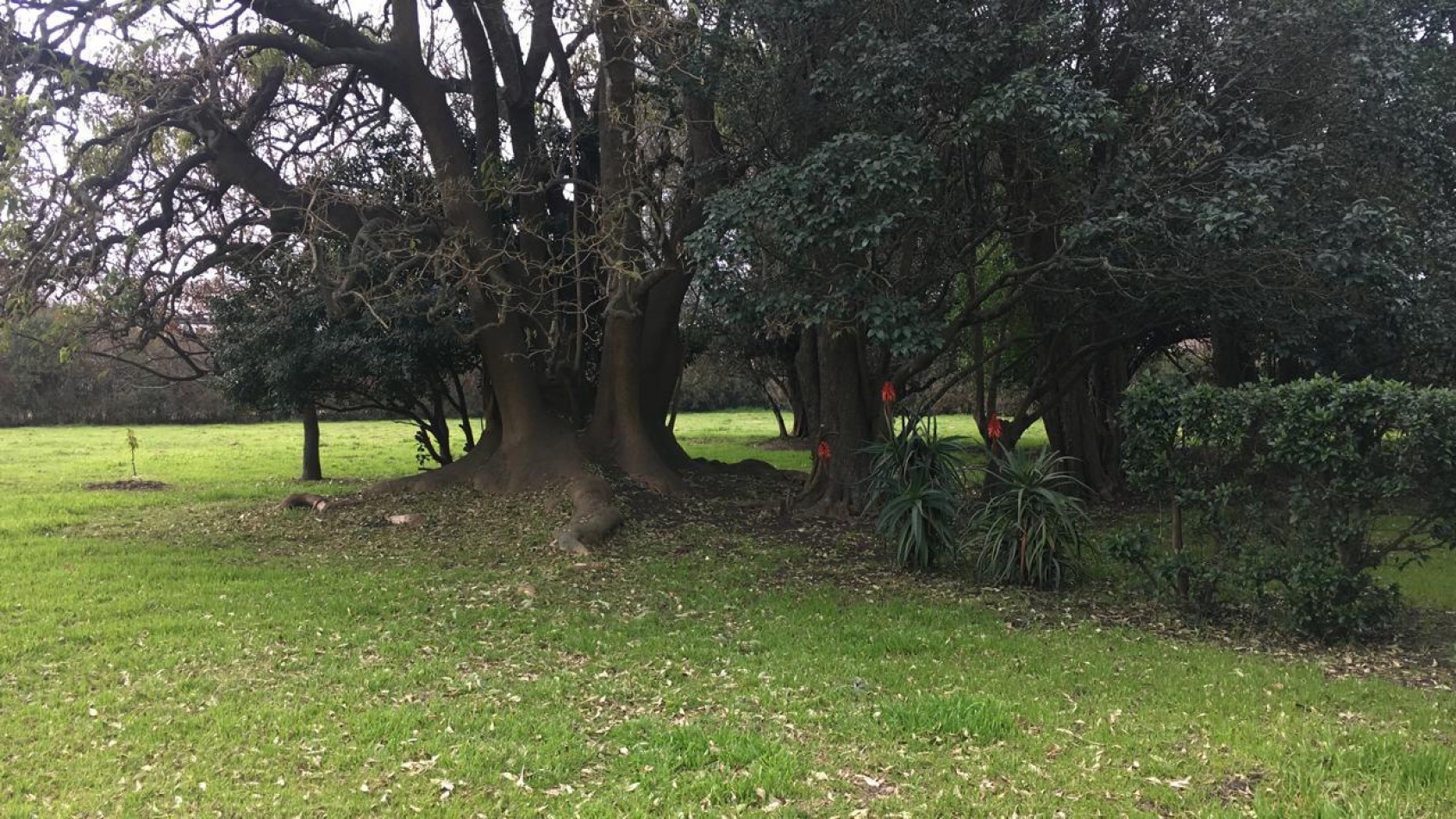 MANZANA COMPLETA CON LOCAL Y VIVIENDA!