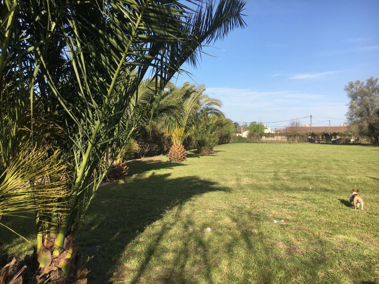 MANZANA COMPLETA CON LOCAL Y VIVIENDA!