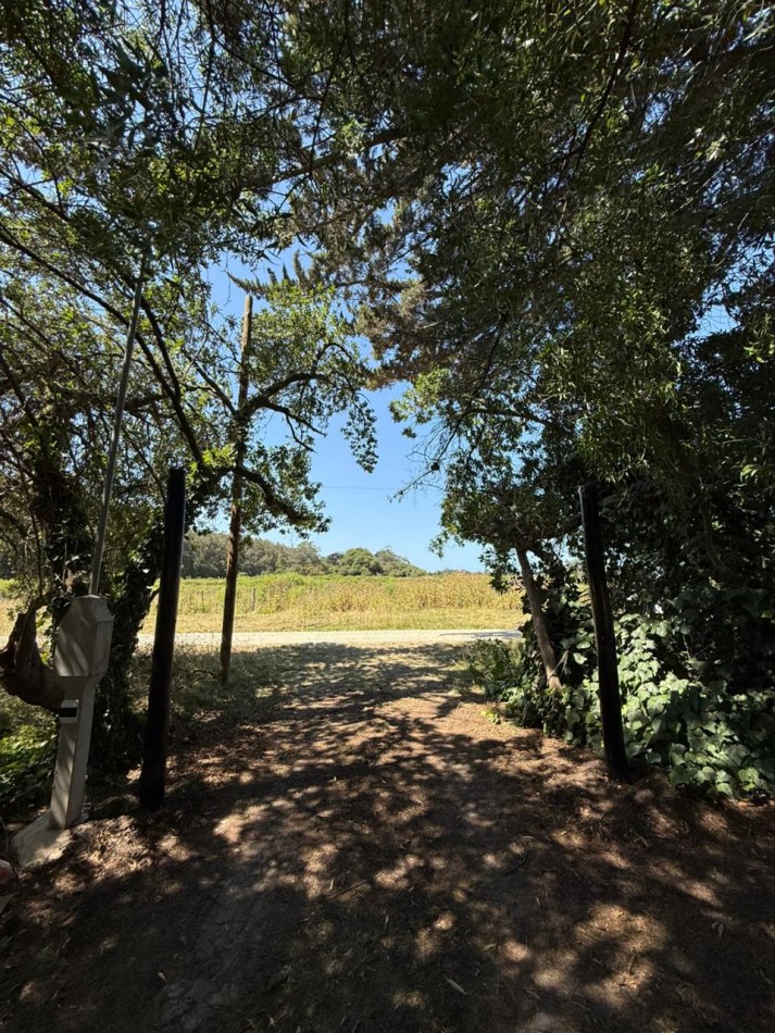 GRAN LOTE 20 X 51 METROS!BARRIO SANTA ISABEL