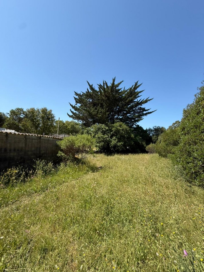 GRAN LOTE 20 X 51 METROS!BARRIO SANTA ISABEL