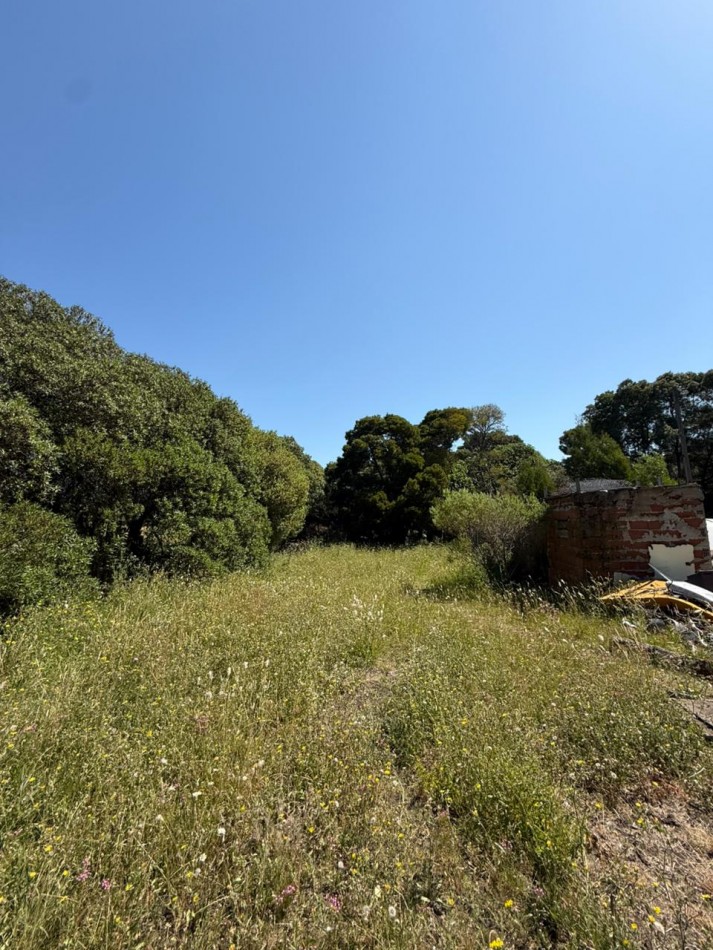 GRAN LOTE 20 X 51 METROS!BARRIO SANTA ISABEL