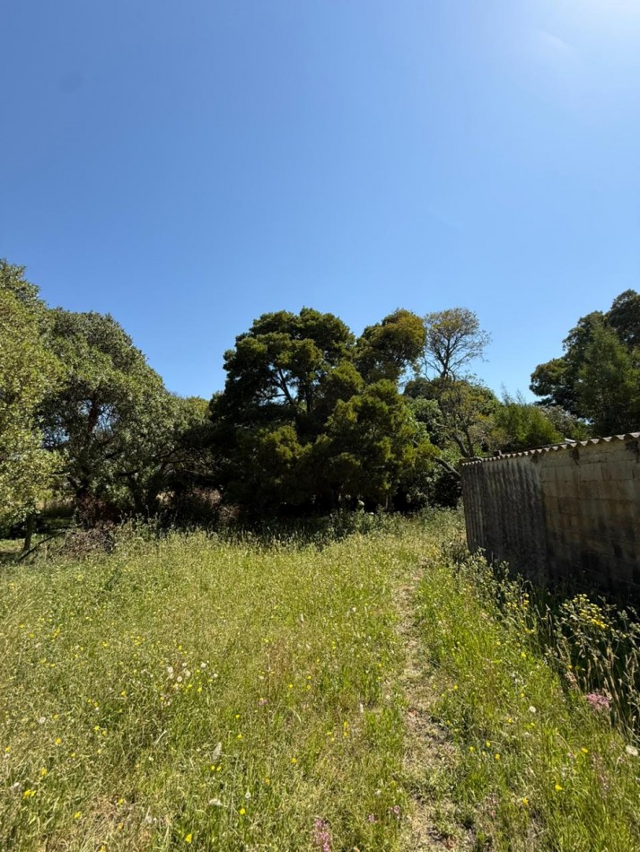 GRAN LOTE 20 X 51 METROS!BARRIO SANTA ISABEL