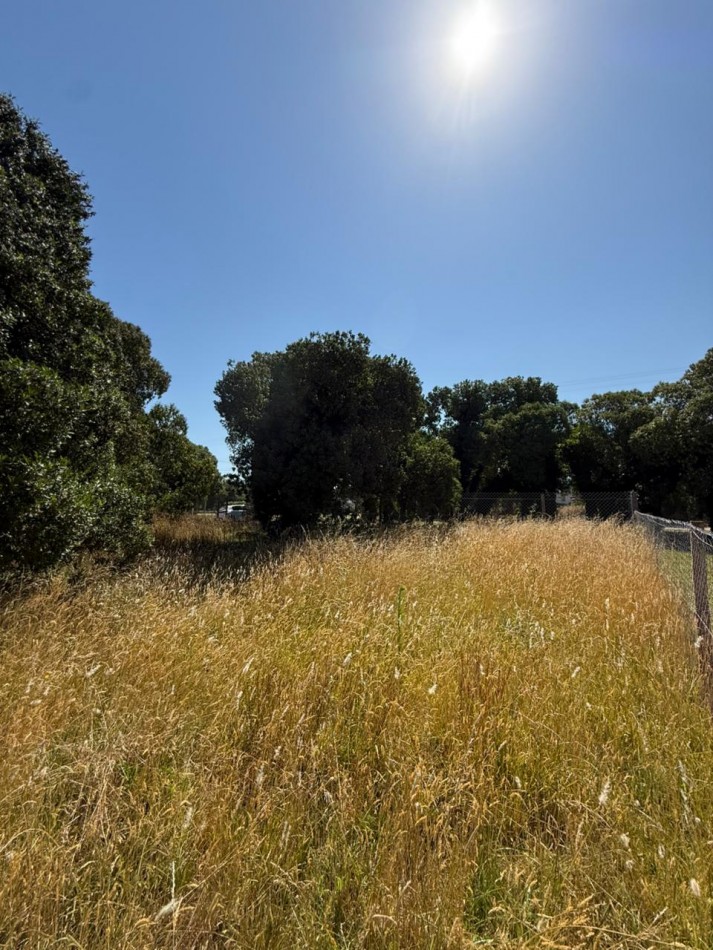 LOTE PLAYA LOS LOBOS, A 2 CUADRAS DEL MAR! 281M2