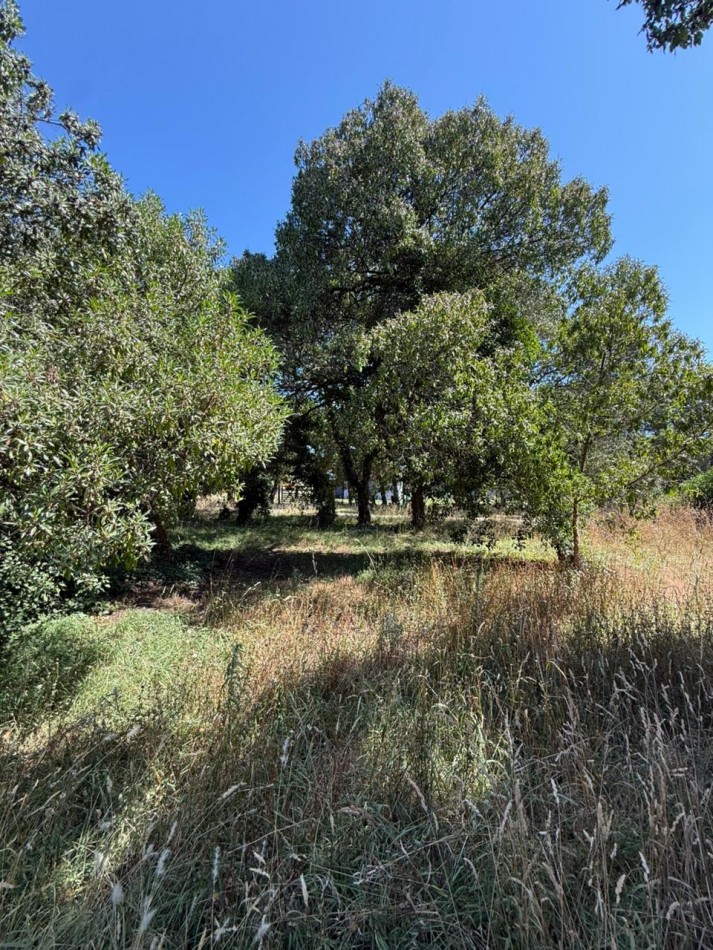 LOTE PLAYA LOS LOBOS, A 2 CUADRAS DEL MAR! 281M2