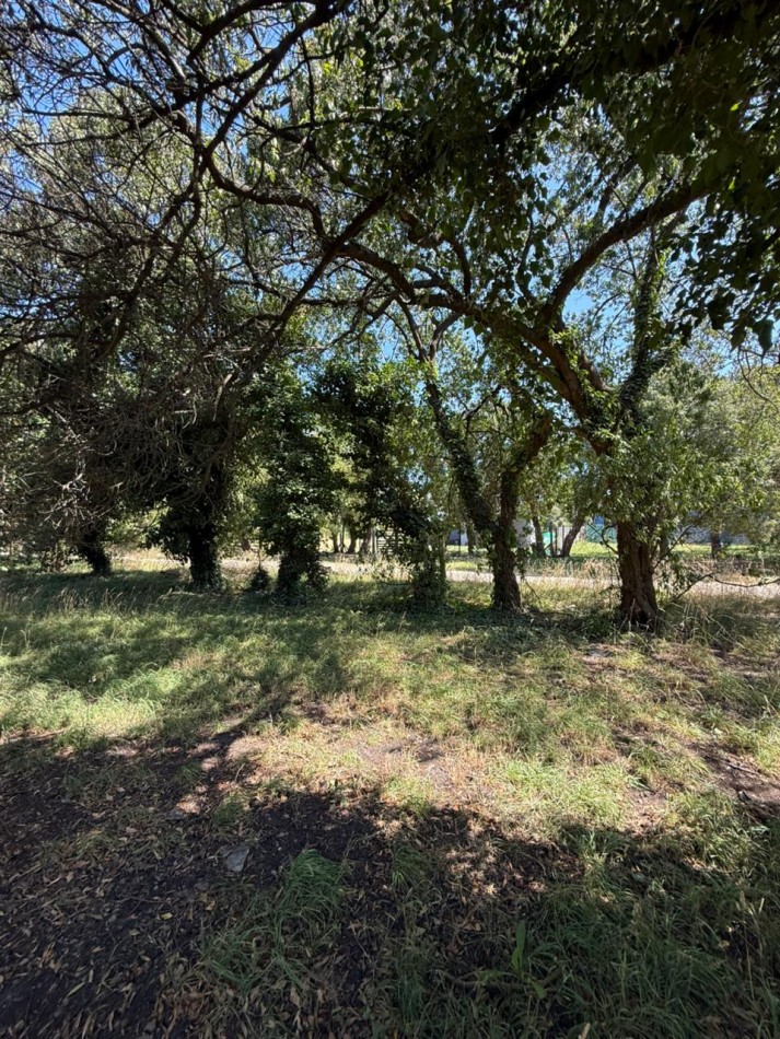 LOTE PLAYA LOS LOBOS, A 2 CUADRAS DEL MAR! 281M2