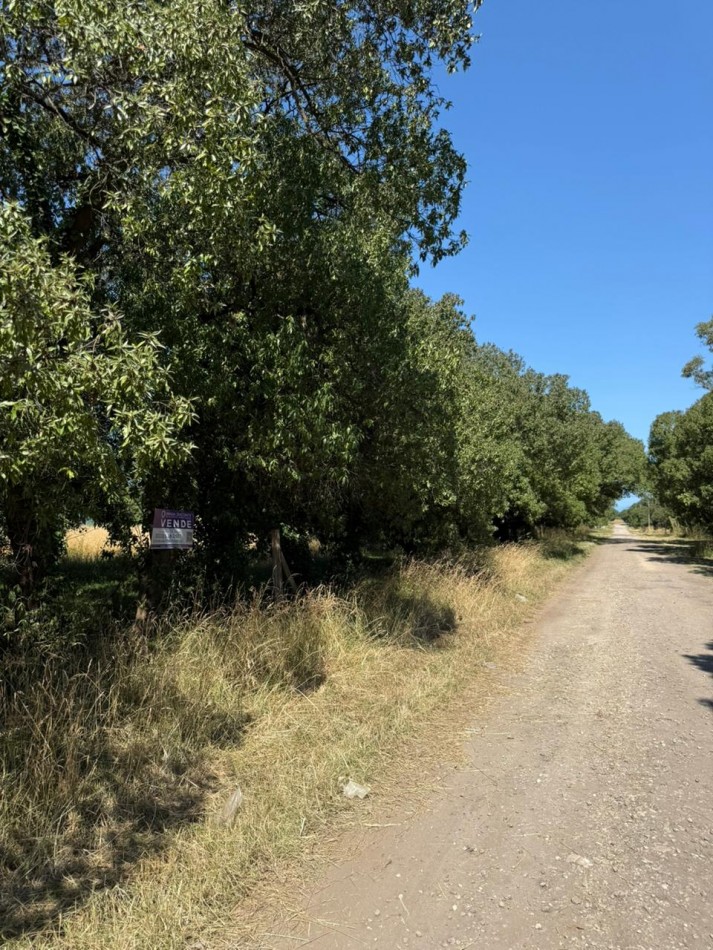 LOTE PLAYA LOS LOBOS, A 2 CUADRAS DEL MAR! 281M2