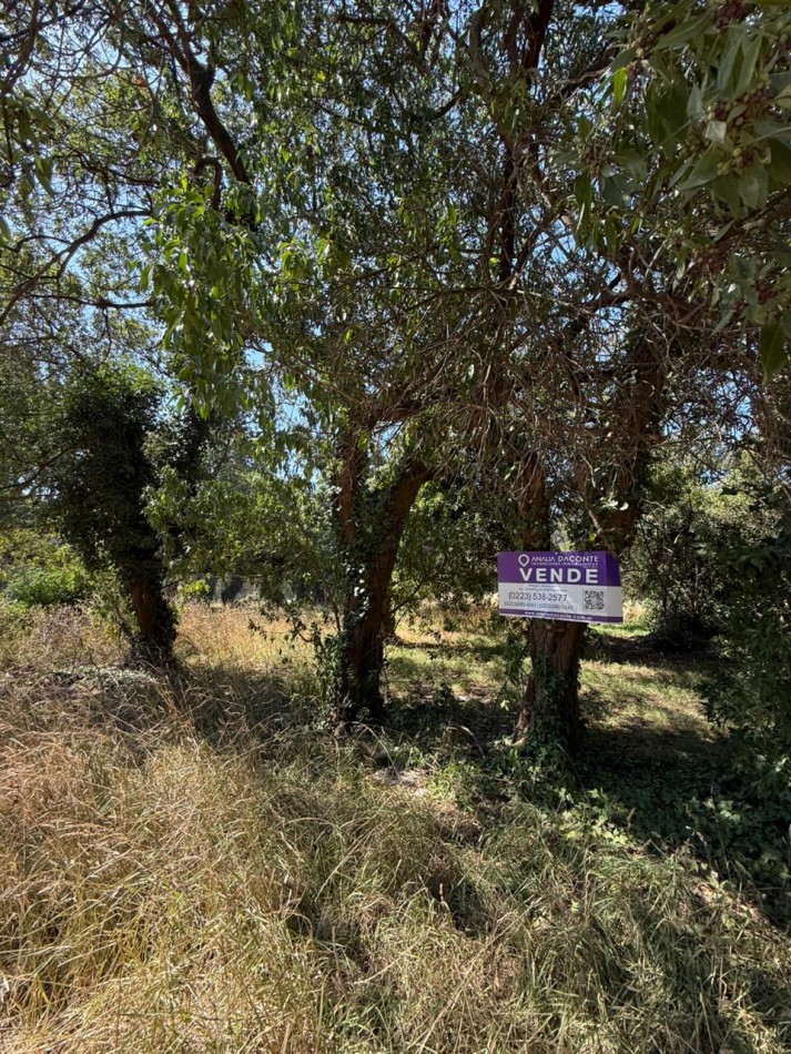 LOTE PLAYA LOS LOBOS, A 2 CUADRAS DEL MAR! 281M2