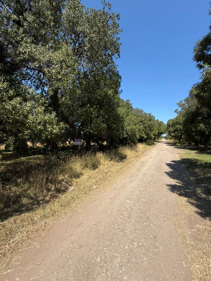 LOTE PLAYA LOS LOBOS, A 2 CUADRAS DEL MAR! 281M2