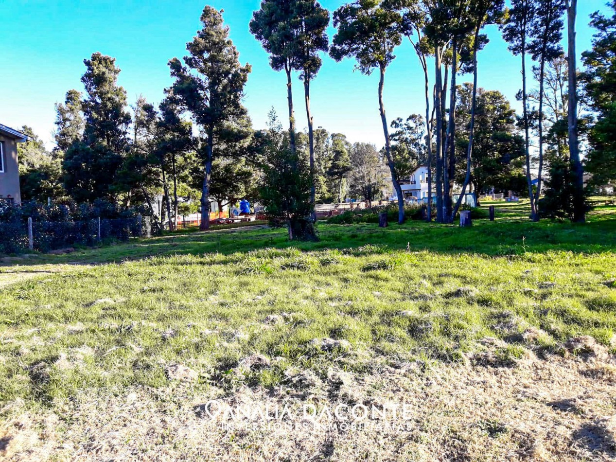 LOTE DE 607M2 EN BARRIO PRIVADO LAS PRUNAS