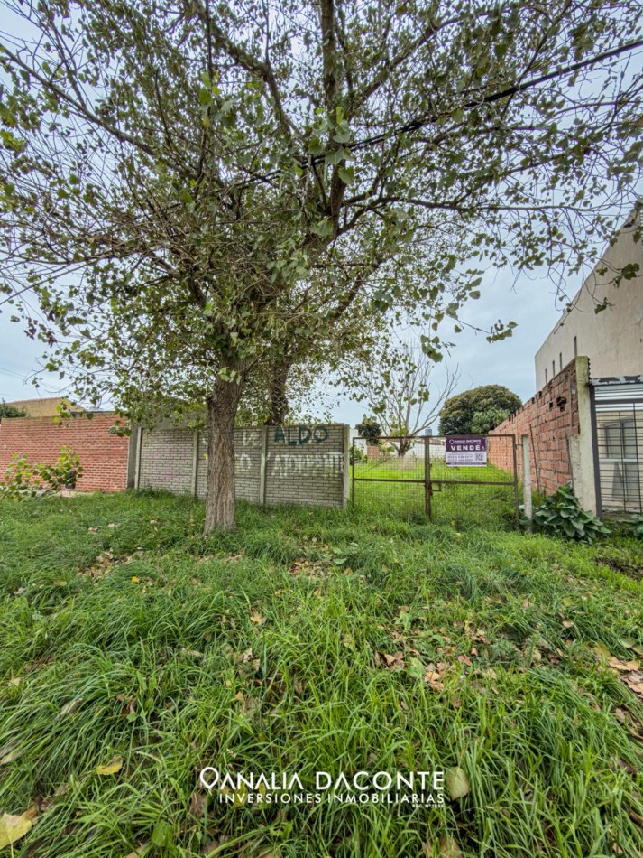 Lote de 333m2. Los Pinares