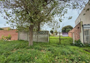 Lote de 333m2. Los Pinares